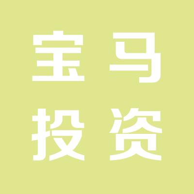 山西宝马投资有限公司