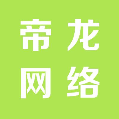 帝龙网络科技