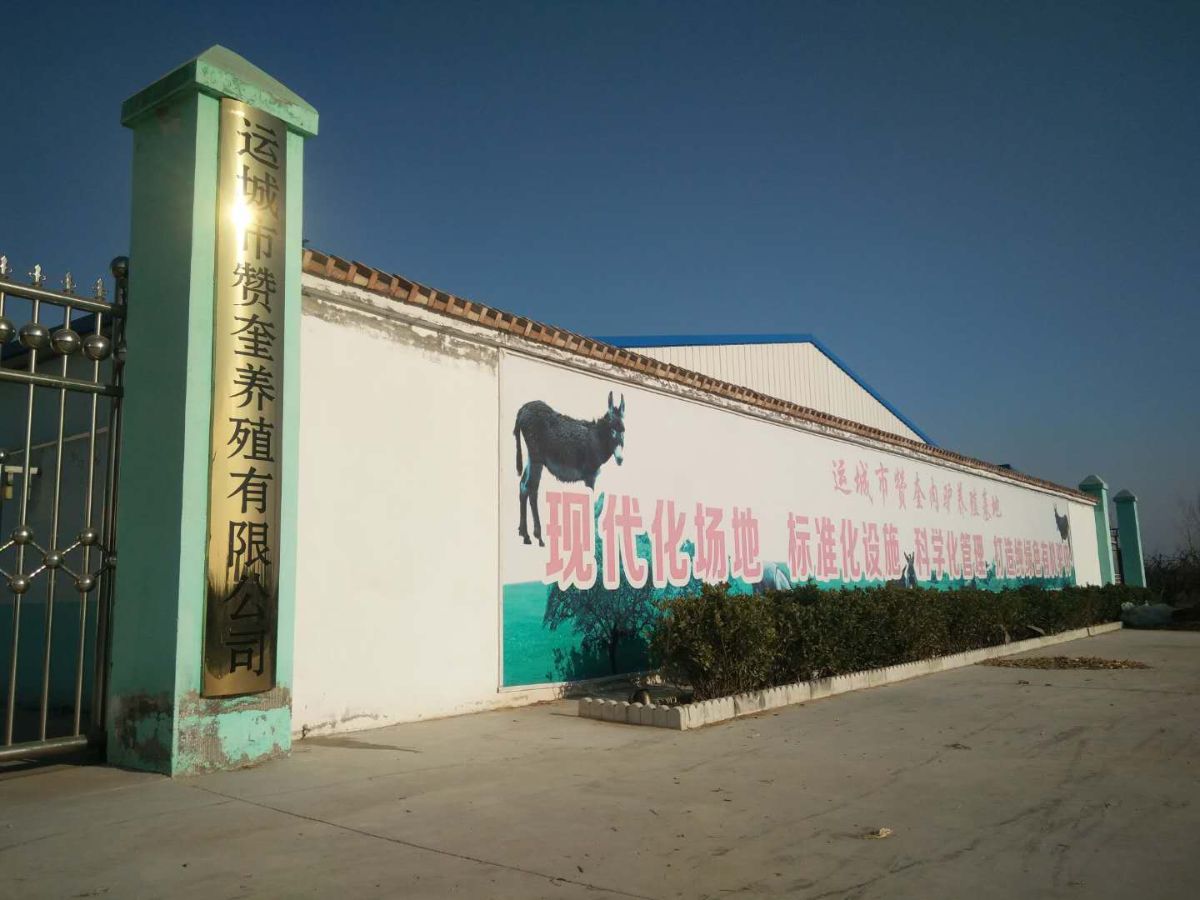 赞奎晋南驴产业体系