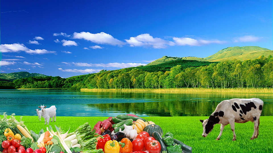 果粟康肥业开发有限公司微生物菌剂项目