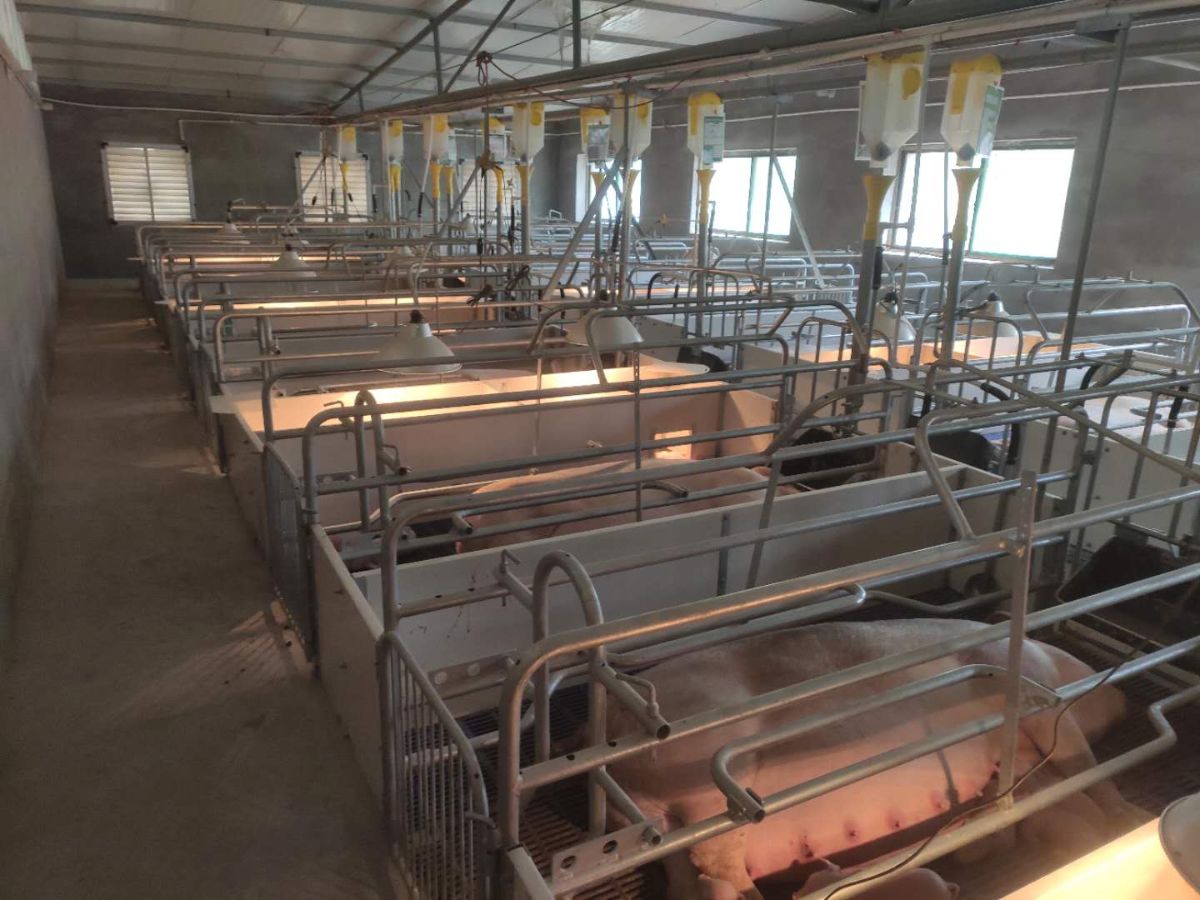 稷山县泽丰园家庭农场