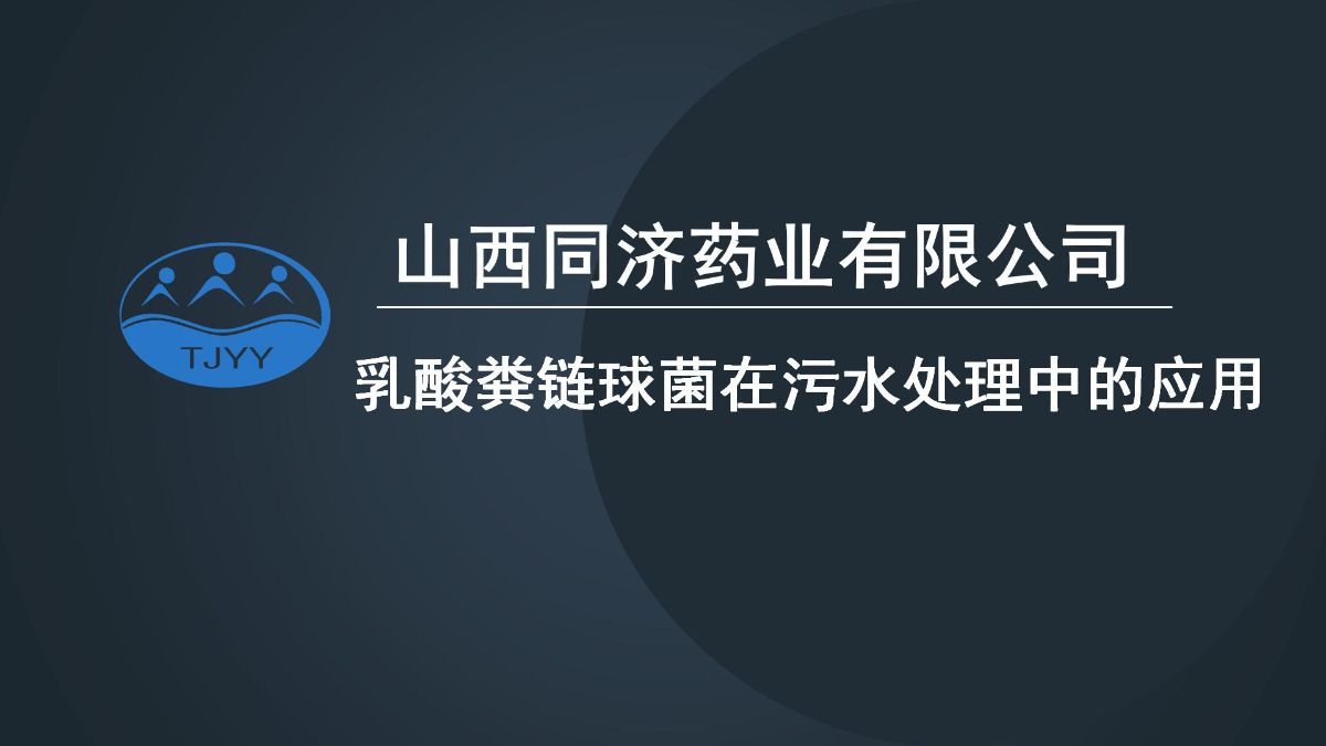 乳酸菌链球在污水处理中的应用
