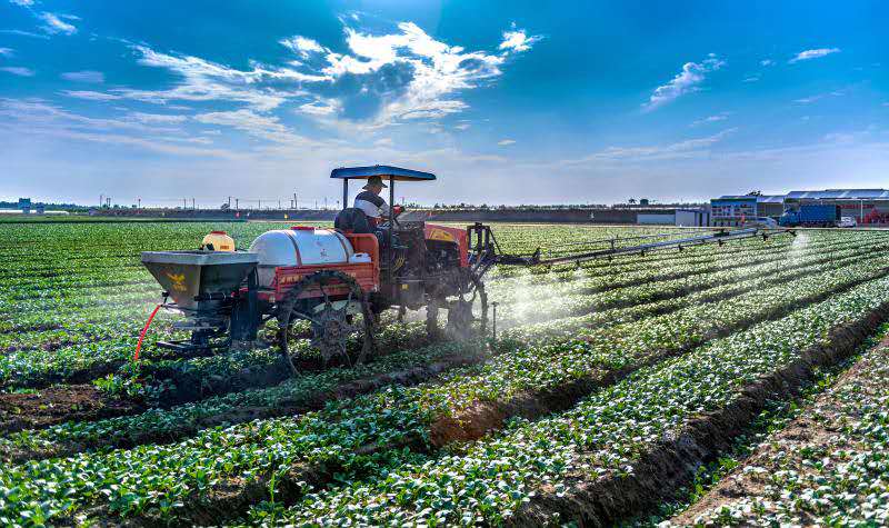 山西智慧农业种植